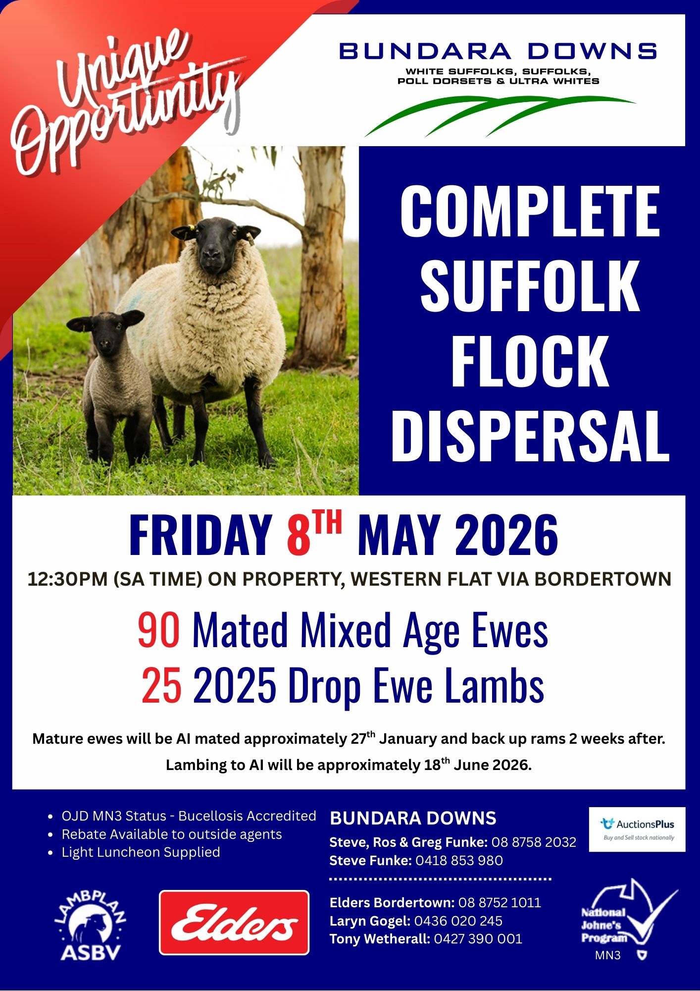 BD Suffolk Dispersal