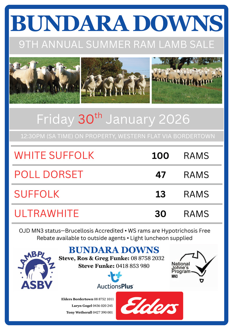 9TH ANNUAL RAM LAMB SALE