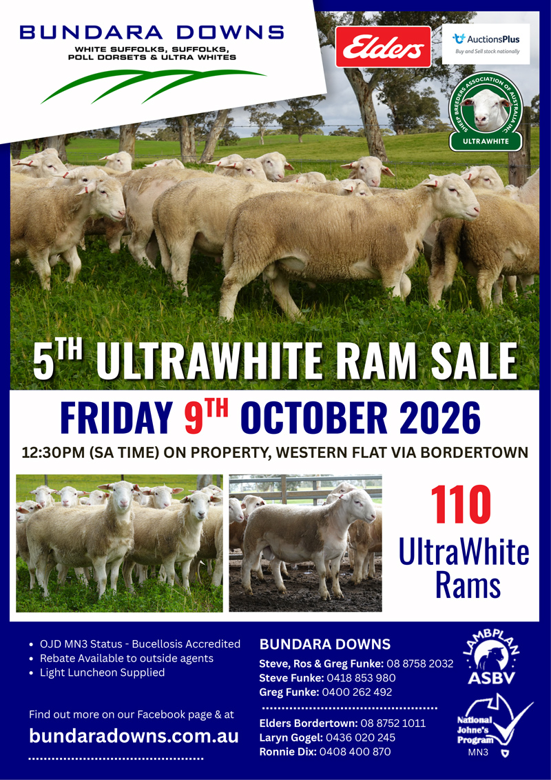 Bundara Downs UltraWhite Flyer