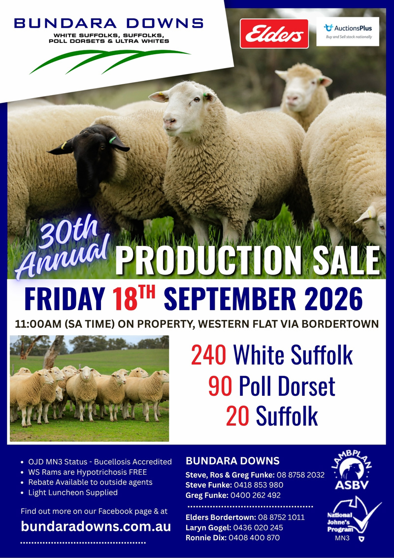 Spring Sale Poster Bundara Downs